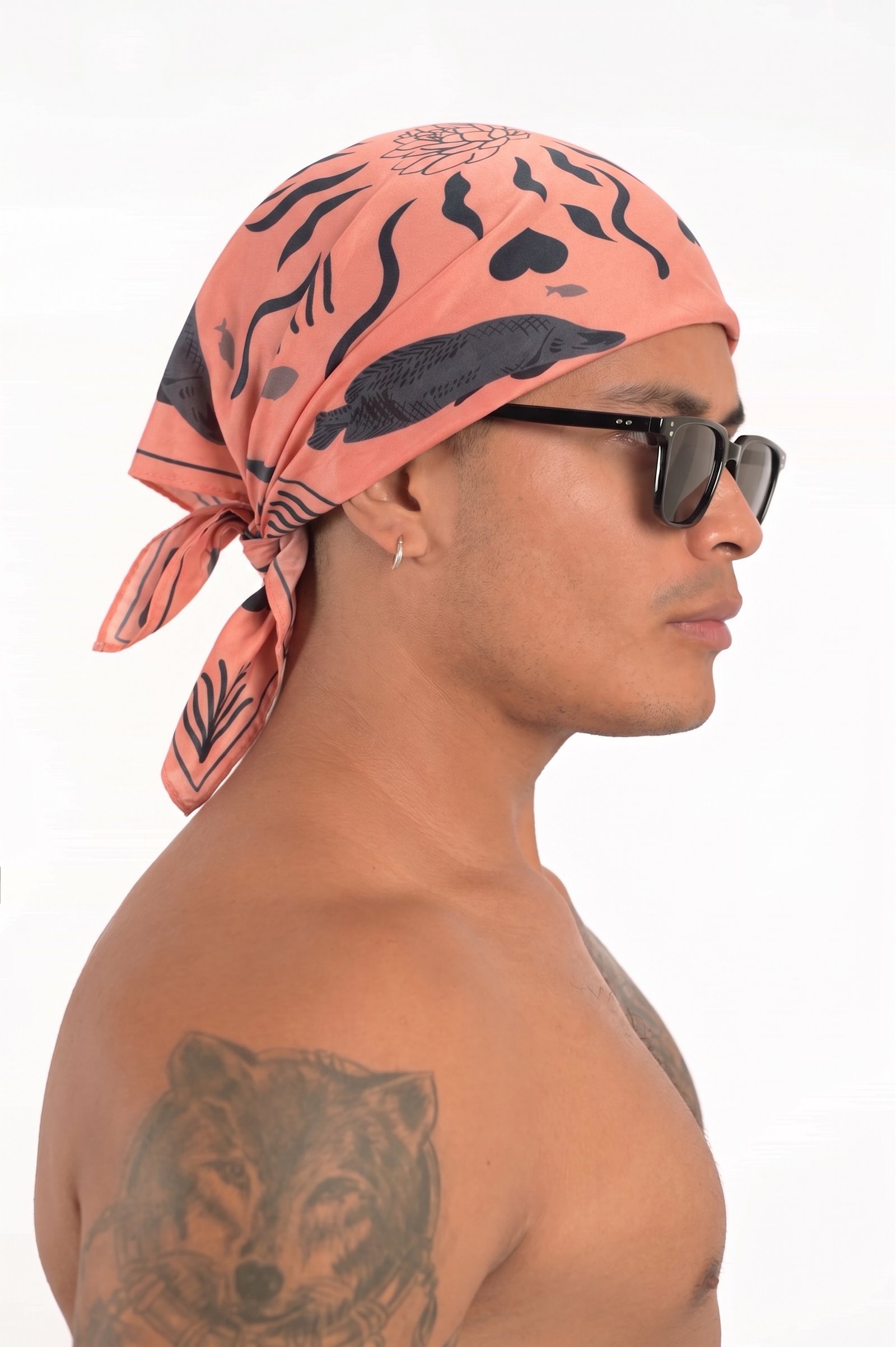 fashn-export-1788276307636