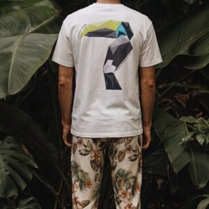 fashn-export-1789074059769